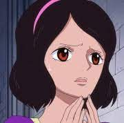 We did not find results for: Viola Opwiki Das Wiki Fur One Piece