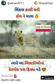 Bio For Instagram For Boy Attitude 2020 Gujarati Pin By Khushi Gorakhiya On Attitude Girly Attitude Quotes Girly Quotes Attitude Quotes