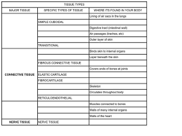 Tissue Types Worksheet For 9th 12th Grade Lesson Planet