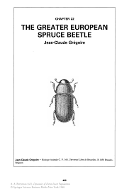 Find the perfect spruce bark beetle stock photos and editorial news pictures from getty images. Pdf The Greater European Spruce Beetle