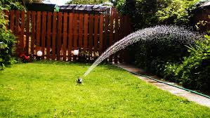 So i would go for alternate days of watering with 5 minutes cycle per zone immediately followed by. 6 Tips For Watering Your Orlando Lawn Lawnstarter