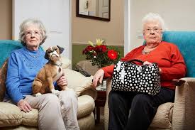 From old favourites like leon and june to new families, gogglebox remains a tv . 3mkgbkoe Jxabm