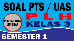 Download soal uas kelas 2 semester 1 kurikulum 2013 ktsp. Soal Pts Uts Plh Kelas 3 Semester 1 Youtube