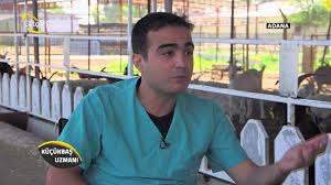 Kucukbas Uzmani Kucukbasta Parazitlerle Nasil Mucadele Ederiz Youtube