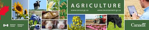 (for the history and other facts about the census in earlier years, see census in canada.) en.wikipedia.org The 2021 Census Of Agriculture Is On The Horizon Alberta Beef Producers