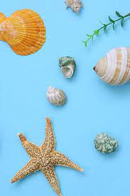 Check out now our daily updated collection! 180000 Hd Wallpaper Photos For Free Download On Pngtree