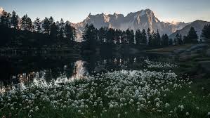 Neill has received the sierra club's ansel adams award for conservation photography. Seasonal Landscape Photography Tips From Summer To Winter