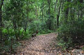 Hiking Trails Hiking In Florida Hiking Hiking Trails
