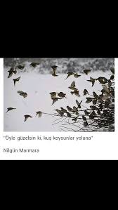 Oyle Guzelsin Ki Kus Koysunlar Yoluna Nilgun Marmara Guzel Soz Edebiyat Muthis