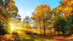 Niciun nor nu va fi pe care. Meteo Se Intoarce Vara La SfarÈ™it De Septembrie