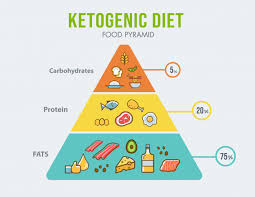 ketogenic diet food pyramid infographic for healthy eating