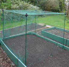 They never jumped/glided from the top syraight to the bottom prior to this fix and now do it constantly. Butterfly Netting 7mm Knitted Brassica Veg Protection 4mx25m