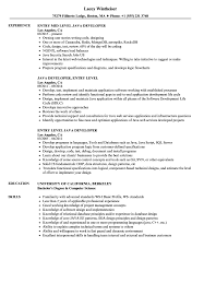 entry level java developer resume