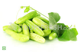 Image result for Coccinia