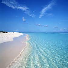 We did not find results for: Amazon Com Beautiful Beaches Wallpapers Appstore For Android