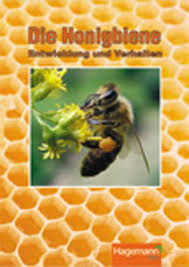 Honigbiene Entwicklung Und Verhalten Von Bienen Dvd Lehrfilm 6000 Lehrfilme Mit Arbeitsmaterialien Lehrer Innen Und Schueler Innen Lerngut