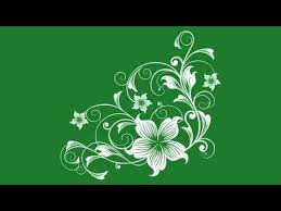 Flourish Flower On Green Screen 24 Youtube Greenscreen Flowers Green