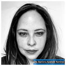 Como parte de los esfuerzos de internacionalización del Programa de  Posgrados de la Escuela de Relaciones Internacionales, durante el III  trimestre de 2024 se sumaron tres destacadas personas académicas  internacionales a la