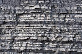 Find out all about bedding plane 📙: Blue Lias Strata Photograph By Sinclair Stammers