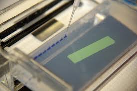 DNA staining dye 이미지 검색결과
