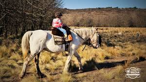 Pin En Che Toba Blog De Viajes