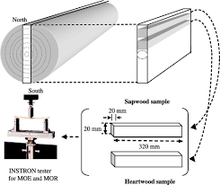 Academia.edu is a platform for academics to share research papers. Wood Stiffness And Strength As Selection Traits For Sawn Timber In Acacia Auriculiformis