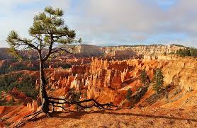 Each yurt has a deck with a gas grill. 7 Best Campgrounds Near Bryce Canyon National Park Planetware