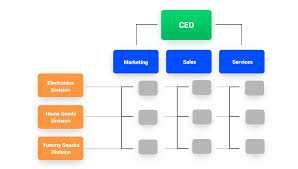 the 7 most efficient types of marketing organizational