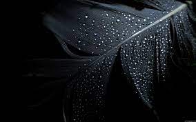 Full Hd 1080p Desktop Backgrounds 63 Images Black Desktop Background Black Background Wallpaper Dark Black Wallpaper