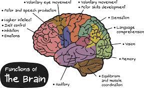 How Our Brains Are Not Like Computers! | By Ben Fathi | Medium