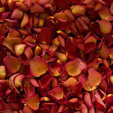 They are often brightly colored or unusually shaped to attract pollinators. Biodegradable Rose Petal Wedding Confetti Burnt Orange 2 Litres Amazon Co Uk Kitchen Home