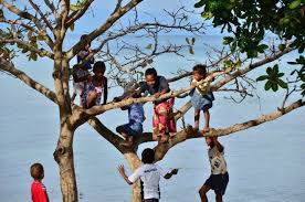 Tree Of Life Solevu Village Malolo Levu Island Fiji Beautiful Fiji Fiji My Island