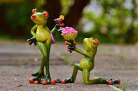 Best way to propose a boy on chat. Best 10 Cute Ways To Propose A Guy Romantically Worth Of Read A Blog Which Worth To Read