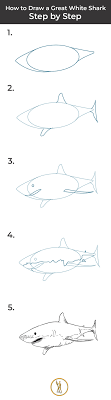 If you love ocean animals as much as we do, be sure to also check out our other ocean art lessons (more to come soon)! How To Draw A Great White Shark Step By Step Sketchbooknation Com