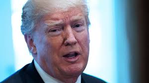 Trump appoints Dublin woman to senior White House role