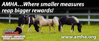 Helpful Information About Miniature Horses