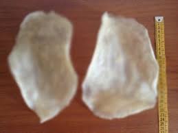 fish maw nutritional value at best