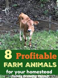 Need Dollars 8 Homestead Animals That Will Actually Make You Money Family Growing Pains In 2020 Raising Farm Animals Homesteading Animals Farm Animals