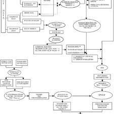 Flow Chart Reporting Step By Step The Procedure Used To