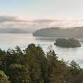 Marine Mammals of the Salish Sea event image