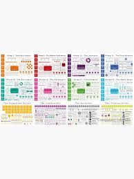 Element Infographics All In One Poster By Compound Interest In 2020 Noble Gas Infographic Alkaline Earth Metals