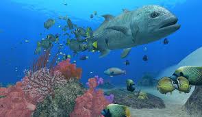 It is published by nintendo, and was developed by arika. Review Endless Ocean Blue World