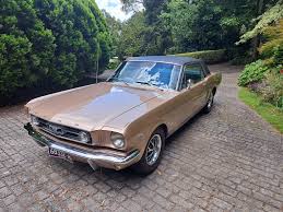 Image result for Anniversary Gold 1966 Mustang