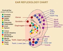 Pressure Points On Feet To Start Labor Pressure Points For