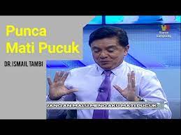Ia adalah jenis mati pucuk yang mendukacitakan. Mati Pucuk Tanda Awal Simptom Tahap Rawatannya Lengkap 2021