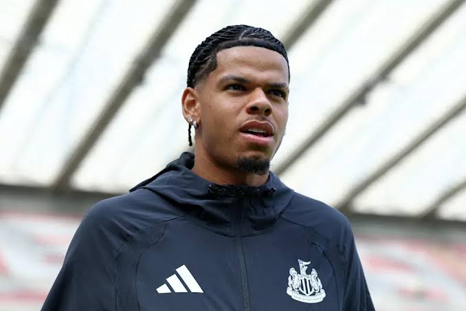 Newcastle Gets William Osula Injury Update Before Tottenham Game - Yahoo  Sports