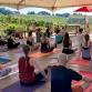 Vines & Vinyasa: Summer Terrace Yoga