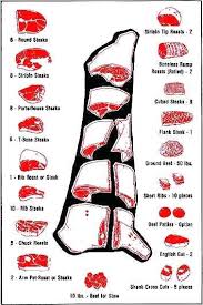 Steak Cuts Chart Byggkonsult