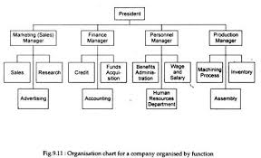 organisation and departmentation management