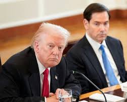 Trump Considers Muslim Brotherhood Terrorist Designation